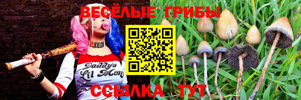 продажа наркотиков  Псилоцибиновые грибы GOLDEN TEACHER  Вход с VPN  Галлюциногенные грибы Psilocybine cubensis  Тавда 